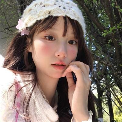 托梅斯的导盲犬